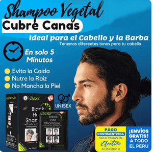 SHAMPOO PINTA CANAS MUSA NEGRO/BROWN CAJA DE 10UN sobres (ORIGINAL)